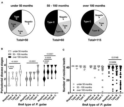 Possible association of fimA genotype of Porphyromonas gulae with the severity of periodontal disease and the number of permanent teeth in dogs
